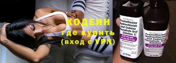 твердый Горняк