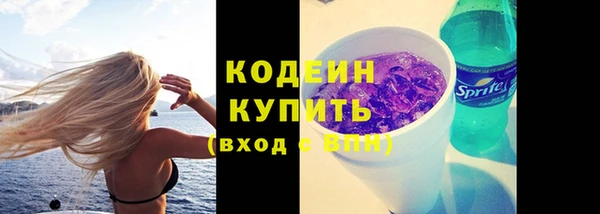твердый Горняк