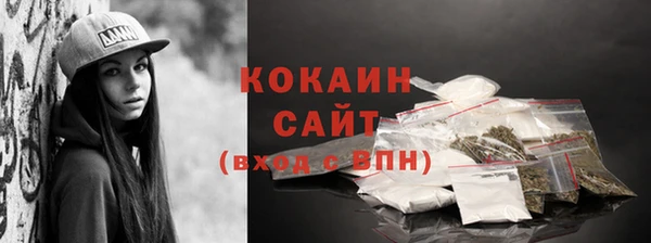 твердый Горняк