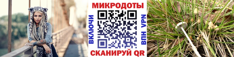 Галлюциногенные грибы GOLDEN TEACHER  площадка какой сайт  Злынка 